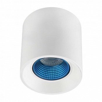 Потолочный светильник Denkirs DK3020WСY DK3090-WH+CY  фото, kupilegko.ru