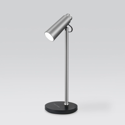 Настольная лампа Elektrostandard Joel серебро/хром TL70190 a048901  фото, kupilegko.ru