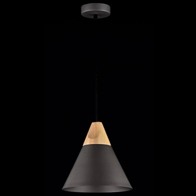 Подвесной светильник Maytoni Bicones P359-PL-220-C  фото, kupilegko.ru