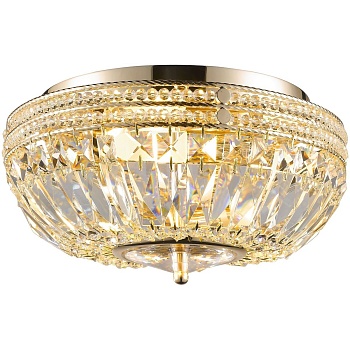 Потолочный светильник Wertmark Gesina WE103.03.307  фото, kupilegko.ru