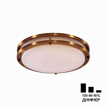 Накладной светодиодный светильник Citilux Бостон CL709323N  фото, kupilegko.ru