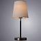 Настольная лампа Arte Lamp Rodos A2589LT-1SS  фото, kupilegko.ru
