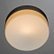 Потолочный светильник Arte Lamp Shirp A3211PL-1SI