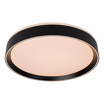 Потолочный светодиодный светильник Lucide Nuria 79182/24/30  фото, kupilegko.ru