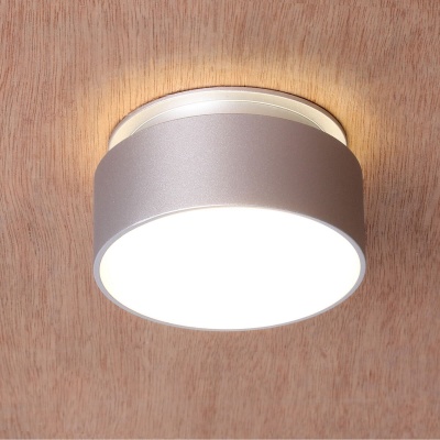 Встраиваемый светильник Favourite Inserta 2884-1C (встраиваемые)  фото, kupilegko.ru