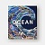 Ocean: Exploring the Marine World Книга Phaidon  фото, kupilegko.ru