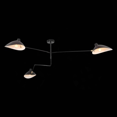 Потолочная люстра ST Luce Spruzzo SL305.402.03  фото, kupilegko.ru