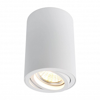 Потолочный светильник Arte Lamp A1560PL-1WH  фото, kupilegko.ru