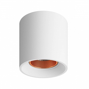 Накладной светильник Denkirs DK3090-WBR  фото, kupilegko.ru
