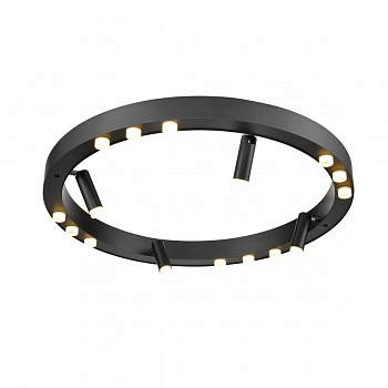 Потолочный светильник Vele Luce Satellite VL7172L12  фото, kupilegko.ru