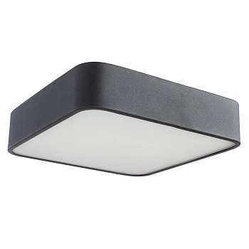 Потолочный светильник Arte Lamp Cosmopolitan A7210PL-2BK  фото, kupilegko.ru