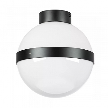 Настенно-потолочный светильник Lightstar Globo 812117  фото, kupilegko.ru